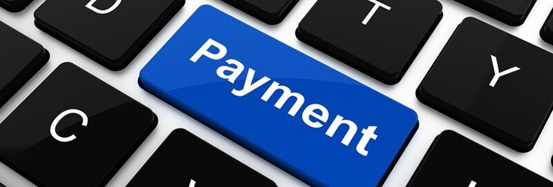 PAYMENTS FOR YOUR BIN CLEANS PAYMENTS FOR YOUR BIN CLEANS
