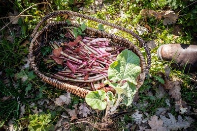 Jaaropleiding wildplukken 2024 Jaaropleiding wildplukken 2024