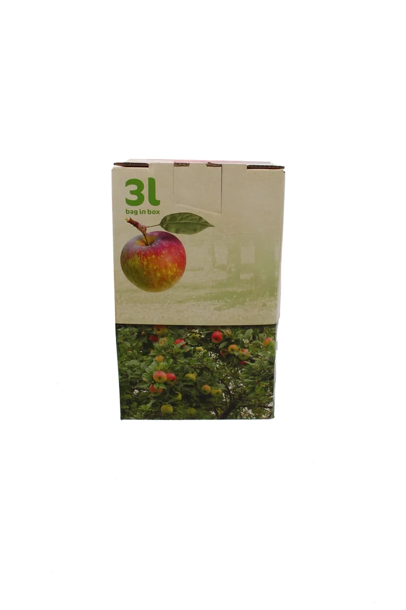 Appel Gember sap Bag in Box 3L