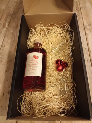 Geschenkverpakking alcoholische drank met 2 glazen