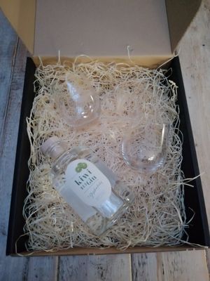 Geschenkverpakking Kiwibes gin met 2 glazen