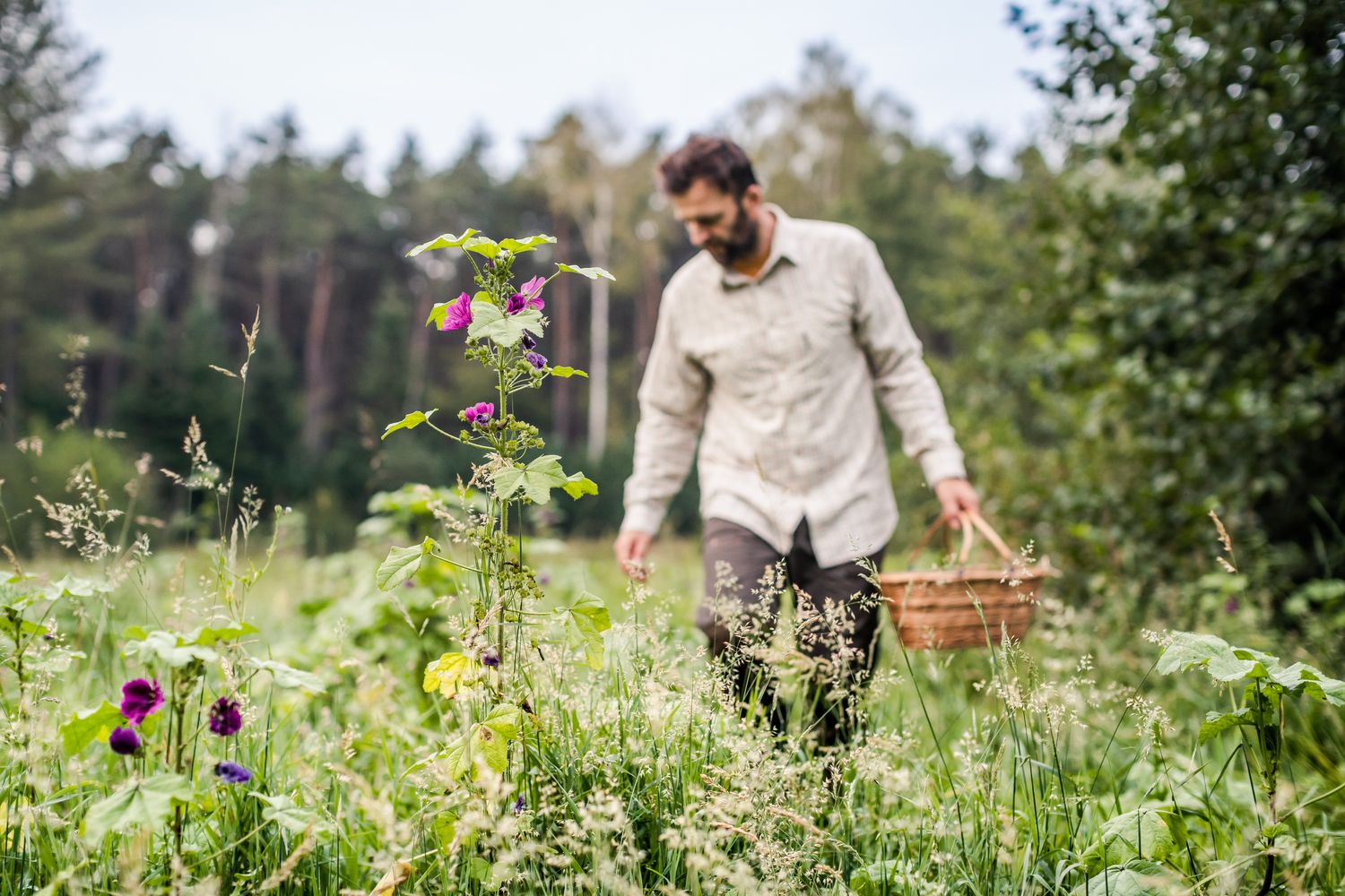 Workshop Wildplukken  27 Maart 2026