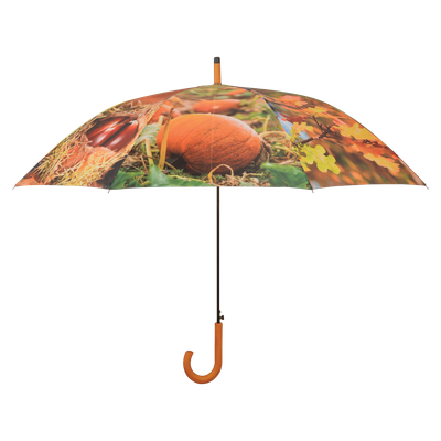 Paraplu Herfst