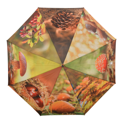 Paraplu Herfst