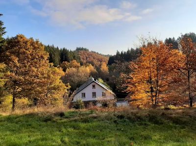 Luxe Culinaire Masterclass Paddenstoelen ( 3 dagen - 2 nachten) 5-7 oktober