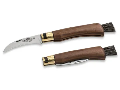 Old Bear Mushroom Walnoot M