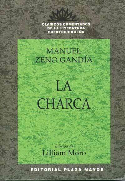 UNDECIMO - LA CHARCA - CLASICOS COMENTADOS - PMAYOR - ISBN 9781563282164