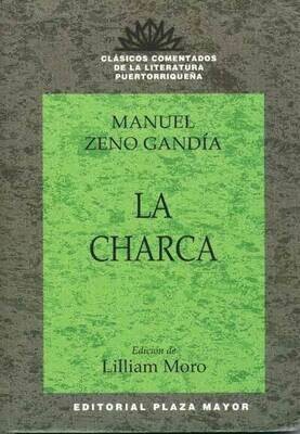 UNDECIMO - LA CHARCA - CLASICOS COMENTADOS - PMAYOR - ISBN 9781563282164