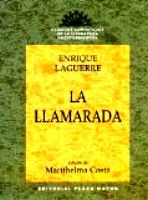 UNDECIMO - LA LLAMARADA - CLASICOS COMENTADOS - PMAYOR - ISBN 9781563281693