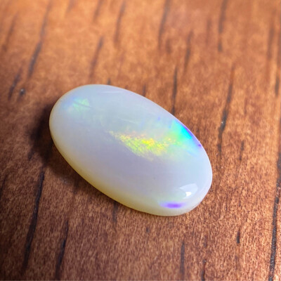 Ammolite Wannabe