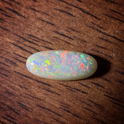 Floral Rainbow