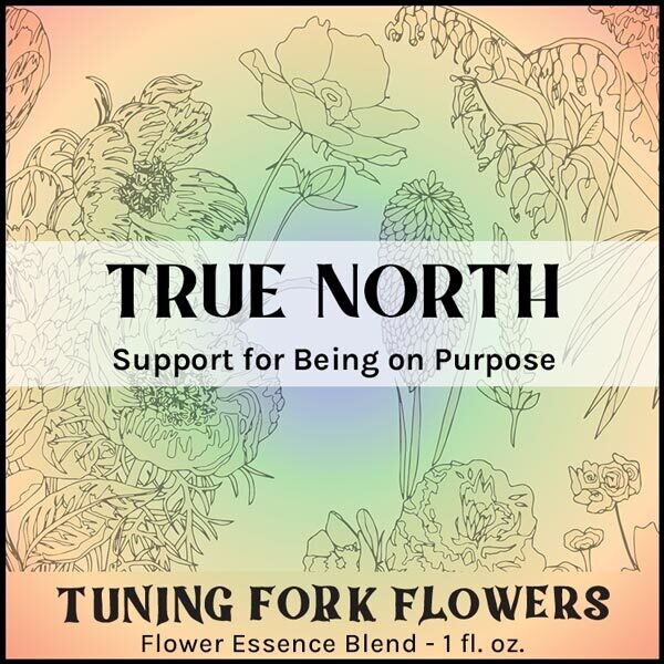 True North - Flower Essence Support for Being On Purpose