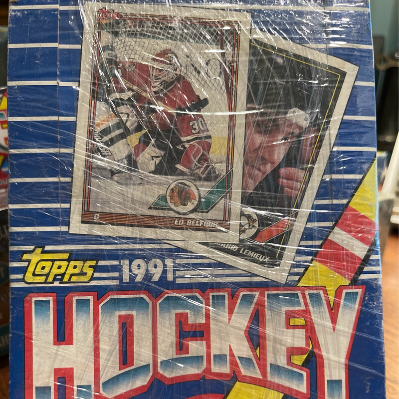 1991 Topps Hockey