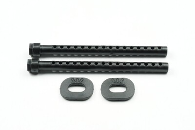 Rear body mount set    03081