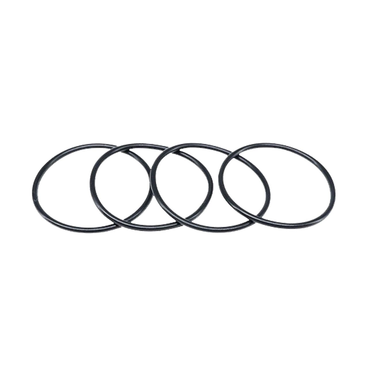 XCE-0701 - Battery Hold Down O-Ring (4)
