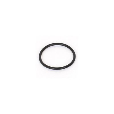 R104013 - O'ring 13x1 (2pcs)