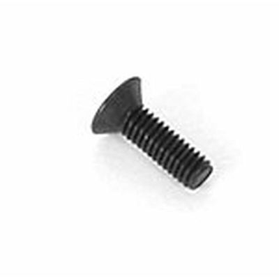 R105201 - 2.5x8mm Flat Screw (10)