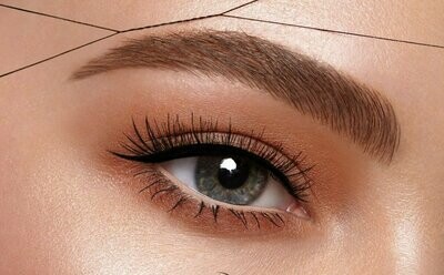 Brow & Lash