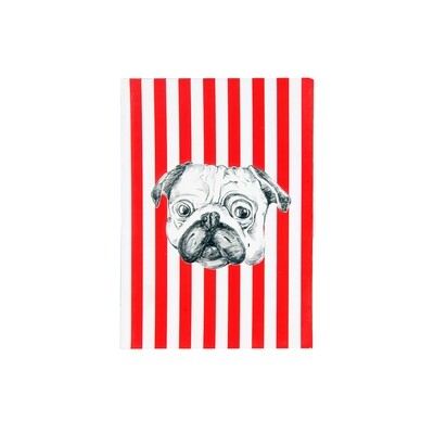 Striped Pug Diary