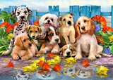 Diamond Painting Set Dogs 40x30cm