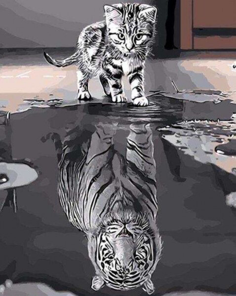 Diamond Painting Set Cat-Tiger 40x30cm