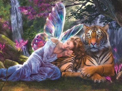 Diamond Painting Fairy 50x40cm Vierkante Steentjes