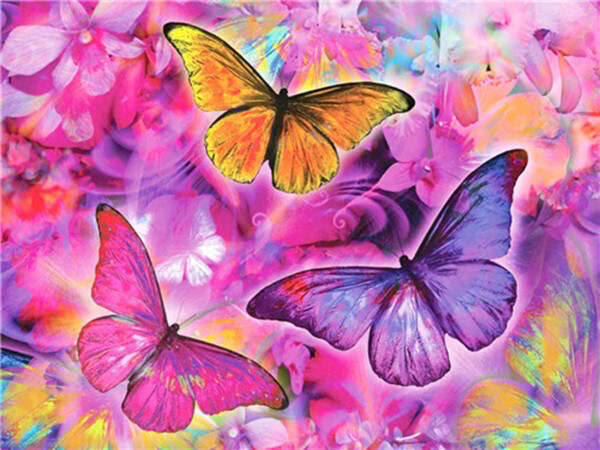 Diamond Painting Butterfly 40x30cm Vierkante Steentjes