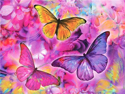 Diamond Painting Butterfly 40x30cm Vierkante Steentjes