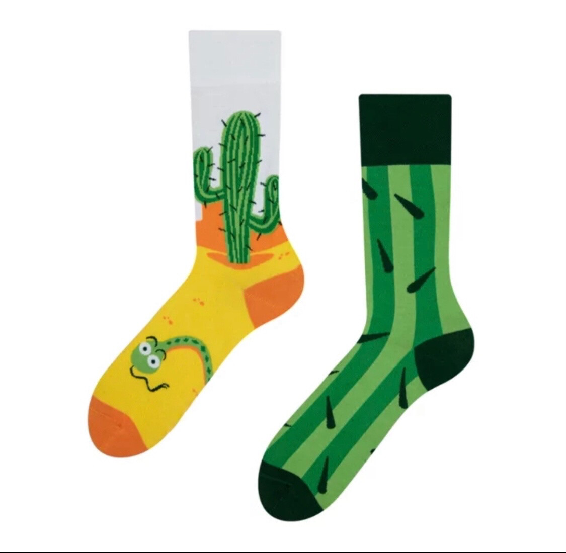Sokken cactus