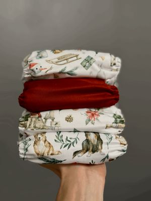 Starta komplekts “Winter”