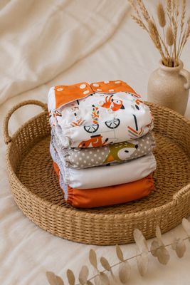 Starta komplekts “Rävar”