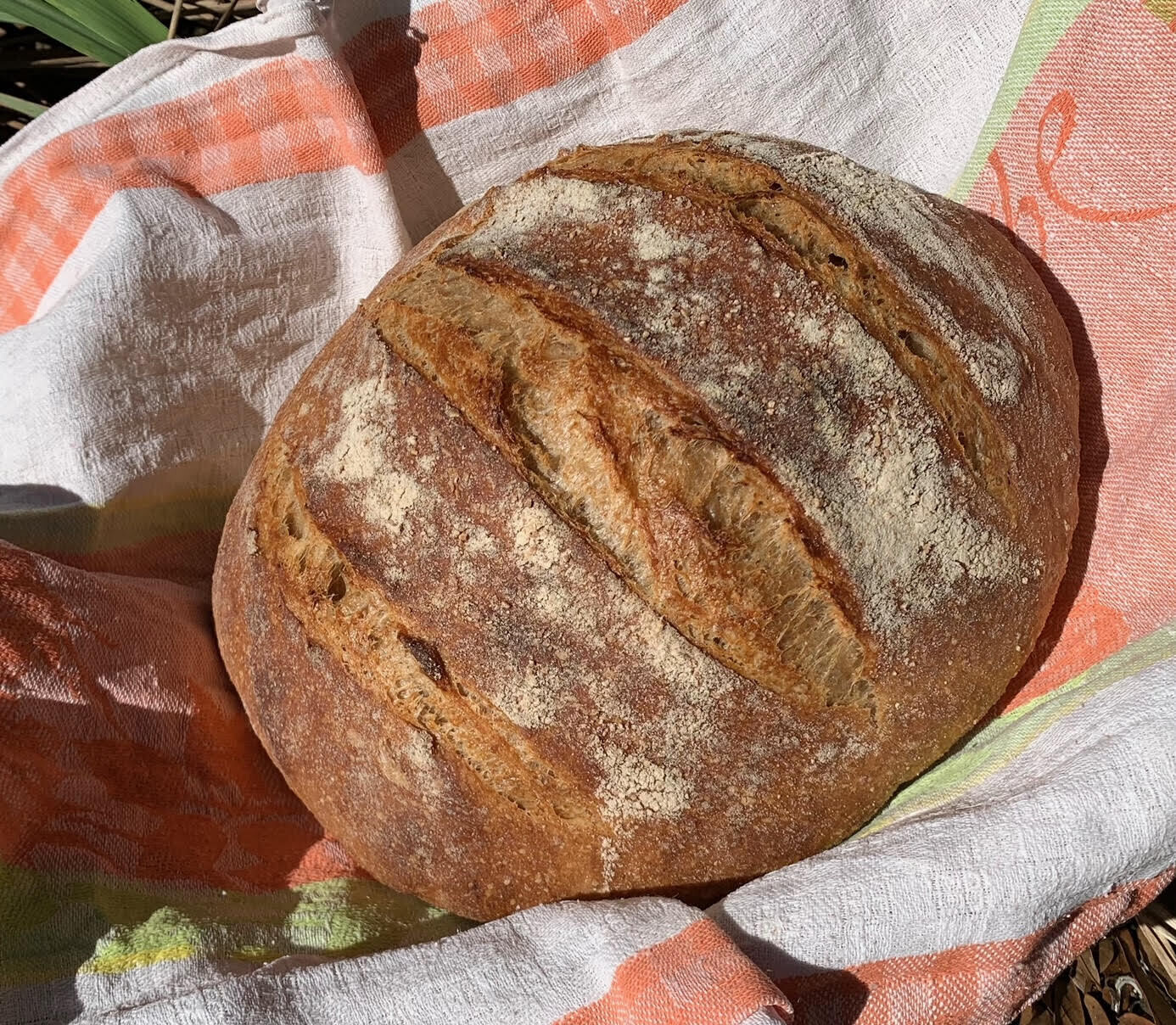 YRound Loaf Classic Organic Sourdough - Vegan