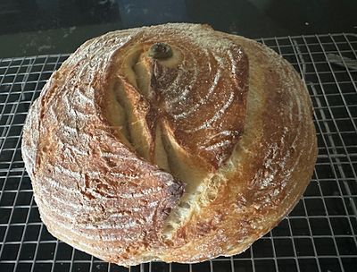 Y Sourdough Bread - Rosemary &amp; Thyme - Round Loaf