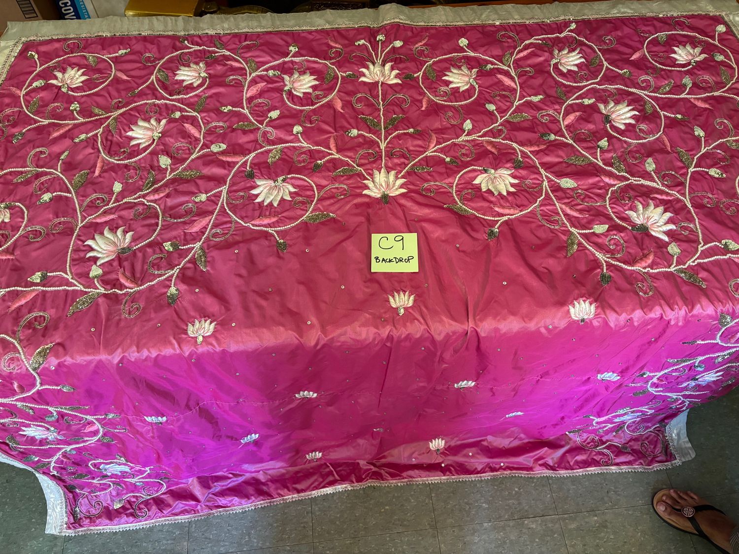 ZZ Backdrop C-9
