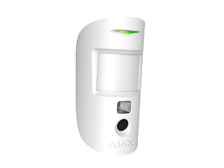 Bewegingsdetector met fotoverificatie