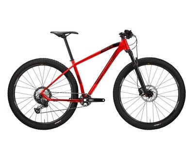 wilier 503X Race Large wilier 503X Race Large