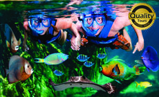 Tour Xel-ha Riviera Maya