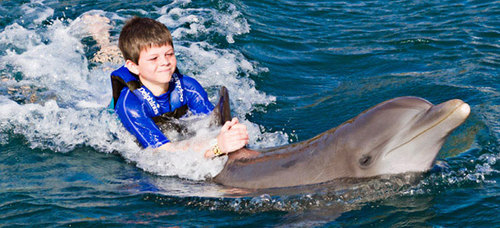 Xel-ha + Nado Ride Adulto