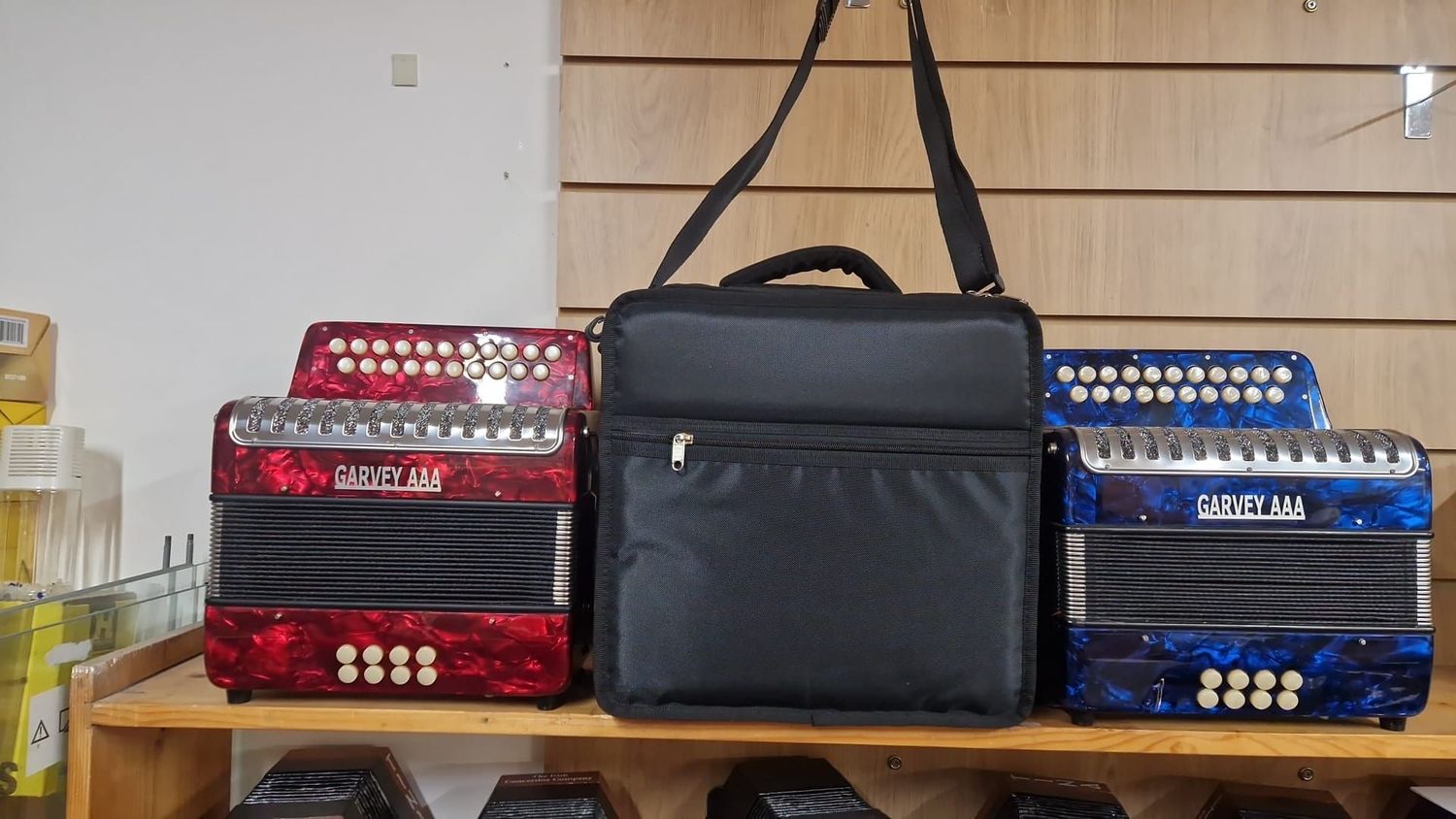 Bespoke Italian BEGINNER ACCORDION  SOFT BAG