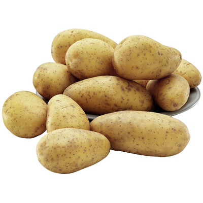 Speisekartoffeln festkochend 10kg