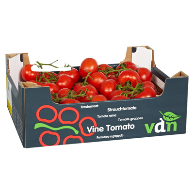 Rispentomaten 5kg