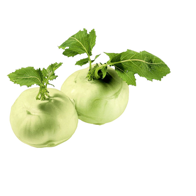 Kohlrabi weiss Stück