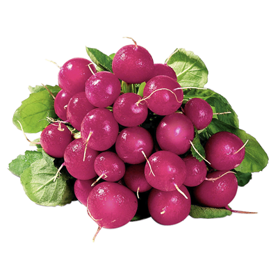 Radieschen 1kg Radieschen 1kg
