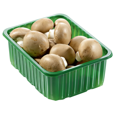 Champignon braun 400 g