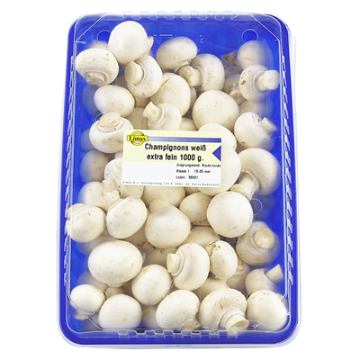 Champignon weiss 1 kg