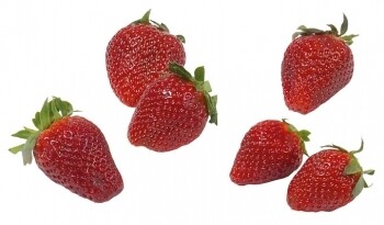 Erdbeeren tiefgefroren 2,5 kg