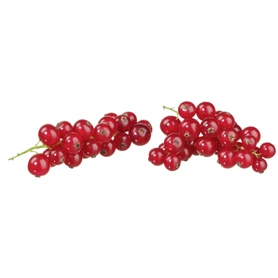 Johannisbeeren rot tiefgefroren 2,5 kg