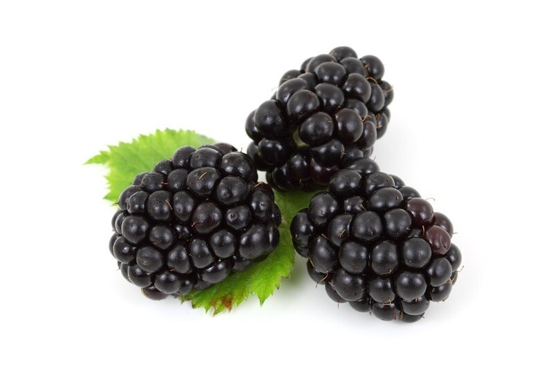 Brombeeren tiefgefroren  2,5 kg