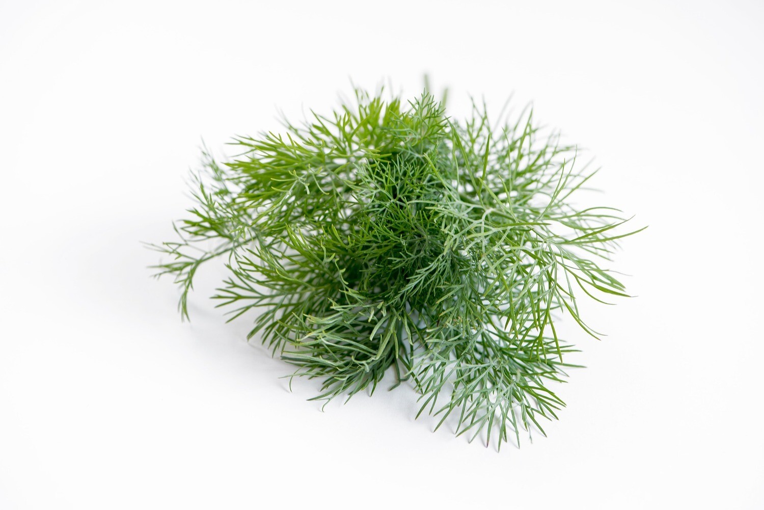 Dill geschnitten tiefgefroren 1 kg