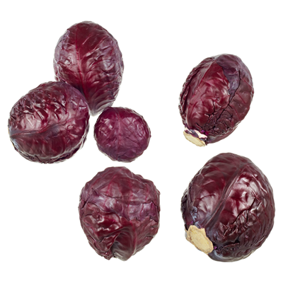 Rotkohl Stück